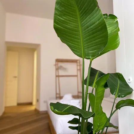 Affittacamere Boho - Colosseum Roma