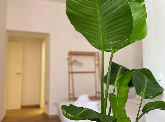 招待所 Boho - Colosseum 罗马